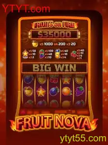 Descubra o Mundo de FruitNova: Diversão e Estratégia em Jogo